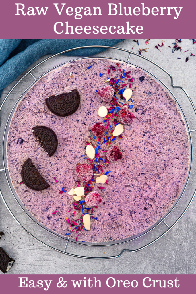 Raw Vegan Blueberry Cheesecake