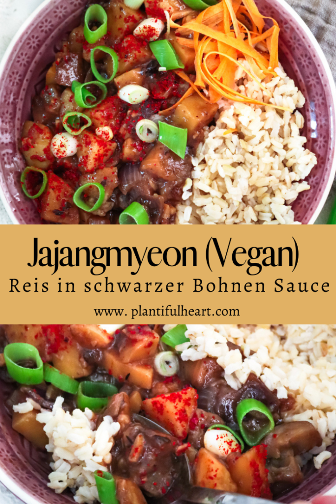 Jajangmyeon Reis in schwarzer Bohnen Sauce